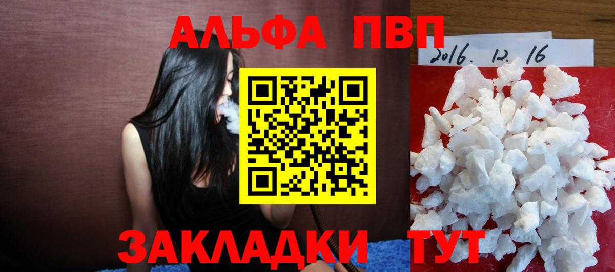 Alfa_PVP СК КРИС Луга